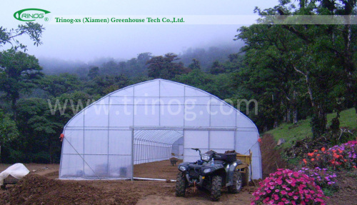 Single tunnel greenhouse for sale