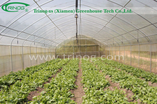 Low cost poly tunnel film greenhouse for vegetable
