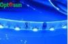 Waterproof IP68 Blue Color SMD Flexible LED Strip Lights 335SMD with White Yellow FPC for Furniture
