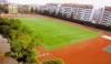 8800DTEX , 10500 Bunch Density Artificial Turf Football for Sport Ground, Wall Decoration