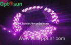 Single Color Flexible 30leds 5050 SMD Led Strip Light with 120 Beam Angle for Window Display
