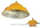 Stationary Ex-proof Light 250W / 400W IP65 MH / HPS Street Lights