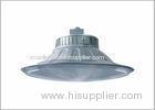 Anti-glare 250W / 400 W Industrial Pendant Lights , MH / HPS Ceiling Lamp