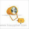 MH Explosion Proof Floodlight