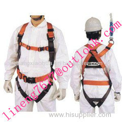 Fall prevention safety belt