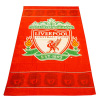 Micro Suede Towel Beach Towel