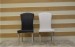 Honorable Fashion Minimalist Dining Chair