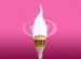LED Candle Bulb/ Light