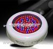 energy saving 90W led plant growing lights 50 / 60HZ, red (620 - 630nm) for indoor garden