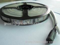 Waterproof IP68 12 Volt Color Changing Led Strip Lights For Window , Flexible Led Light Strip