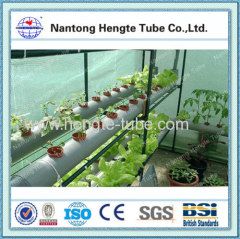 Steel Pipe flower growing greenhouse