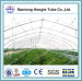 single tunnel metallic sunlight greenhouse