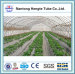 WL6830 single span film vegetable greenhouse