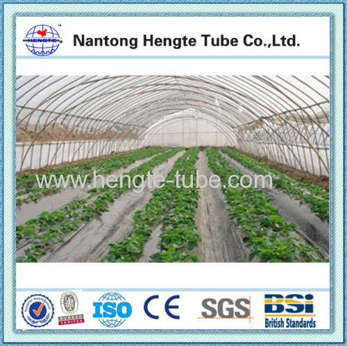 WL6830 single span film vegetable greenhouse