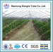 WL6830 single span film vegetable greenhouse