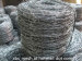 high quality Galvanized barbed wire