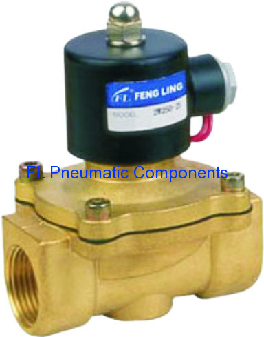 2W250-25 Solenoid Valve