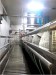 Chicken slaughter processing equipment Chilling machine