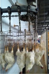 Poultry processing machinery Chicken Stunner