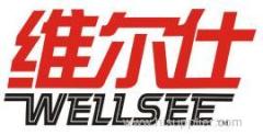 hk wellsee company