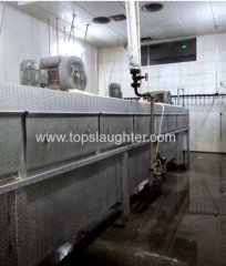 Poultry processing machinery. Scalding machine