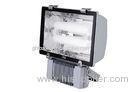 110V - 240V Water proof High Power Induction Flood Light / floodlight for outdoor