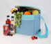 420D Polyester cooler bags for picnic-HAC13022