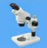 Stereo Microscope