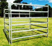 Customized cattle corral yards for Australia and New Zealand farmers