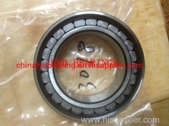 SL192309 Single row full complement cylindrical roller bearing 45X100X36mm