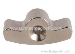 Super quality NdFeB magnet China Supplier