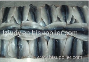 frozen seafish pacific mackerel flaps, mackerel meat scomber japonicus