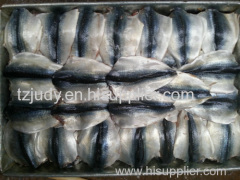 frozen block mackerel flaps scomber japonicus