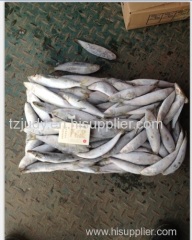 frozen sardine frozen seafood direct factory