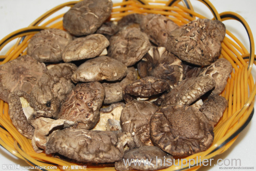 Chunhua dried shiitake mushroom