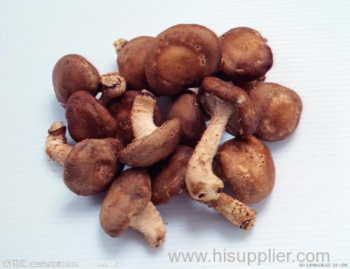 Chunhua dried shiitake mushroom