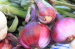 Agriculture myanmar lowest price fresh red onion