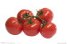 2014 Fresh Red tomato