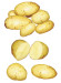 2014 100-150gram fresh potato