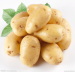 2014 100-150gram fresh potato