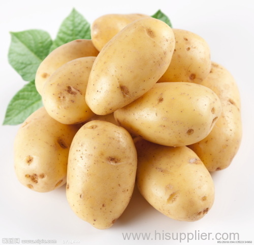2014 100-150gram fresh potato