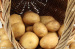 2014 100-150gram fresh potato