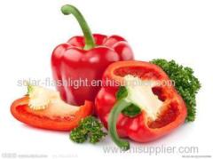 Fresh sweet chilli paprica red green