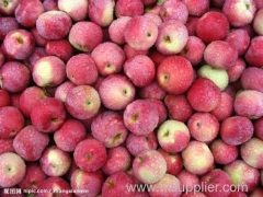 2014 Fresh Red Apples