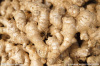 2013 crop fresh ginger