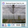 GSW7430 7435 Multi span Greenhouse