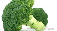 New Crop Frozen broccoli