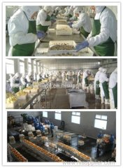 Tin cans for food canning supplier