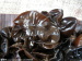 edible dried black fungus with first quality