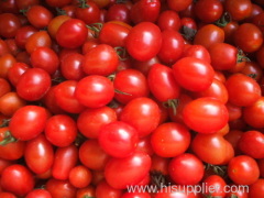 cherry tomato, organic fruit